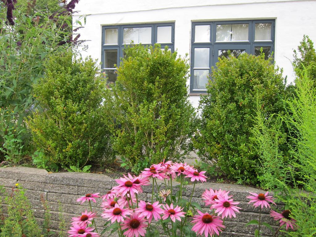 Provstegarden Bed & Breakfast Hovedgård Dış mekan fotoğraf